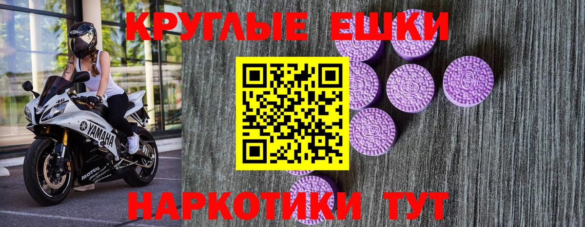 Ecstasy Philipp Plein Иркутск