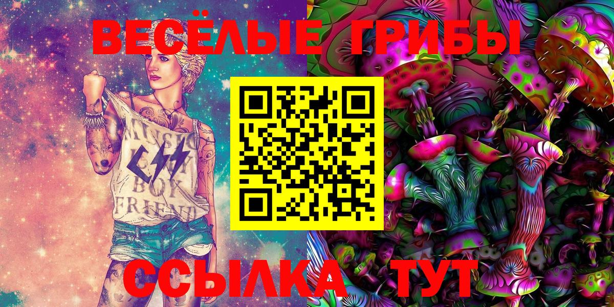 Иркутск  купить наркотики цена  Галлюциногенные грибы Cubensis  Вход с VPN  Галлюциногенные грибы мухоморы 